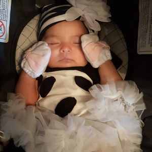 Meet your Posher, Sylvia